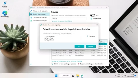 DismUI installation langues