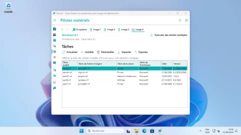 DismUI - Gestion des pilotes